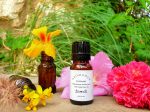 Rosemary - Rosmarinus officinalis - 10 ML