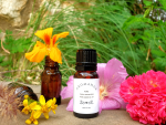 SCOTS PINE - Pinus sylvestris L.- 10 ML